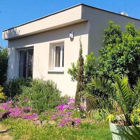 Villa Sunagde, Climatisee, Proche Plage Et Commerces Ле-Гро-д'Агд Экстерьер фото