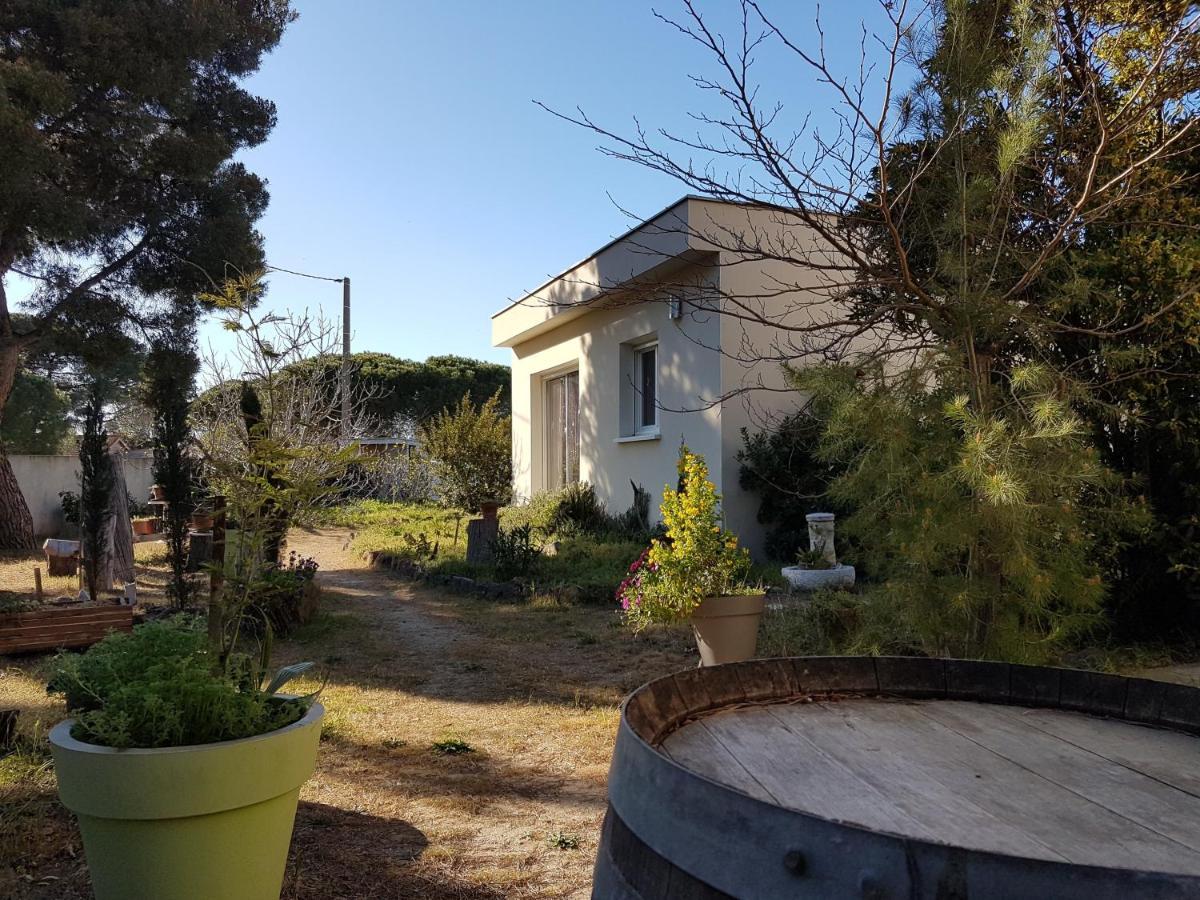 Villa Sunagde, Climatisee, Proche Plage Et Commerces Ле-Гро-д'Агд Экстерьер фото